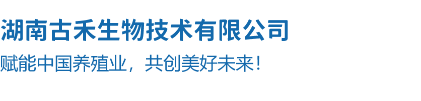 公司名稱.png