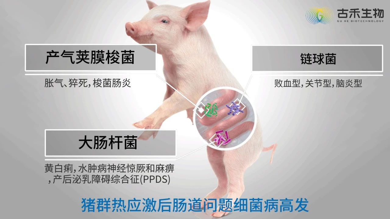 微信圖片_20240821150150.jpg