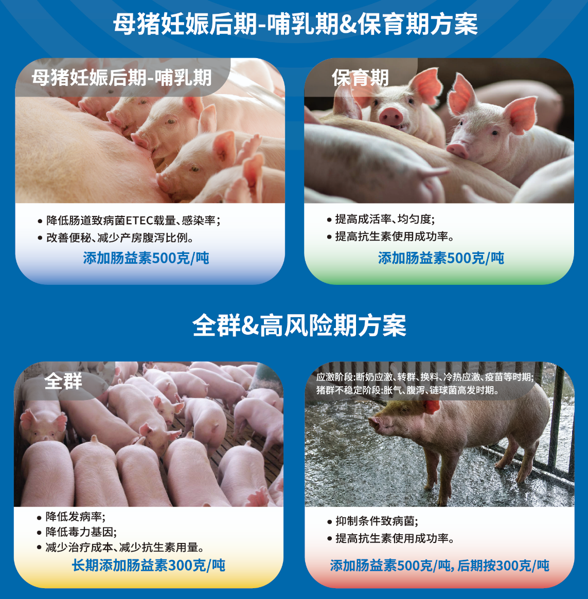 微信圖片_20240821151945.png