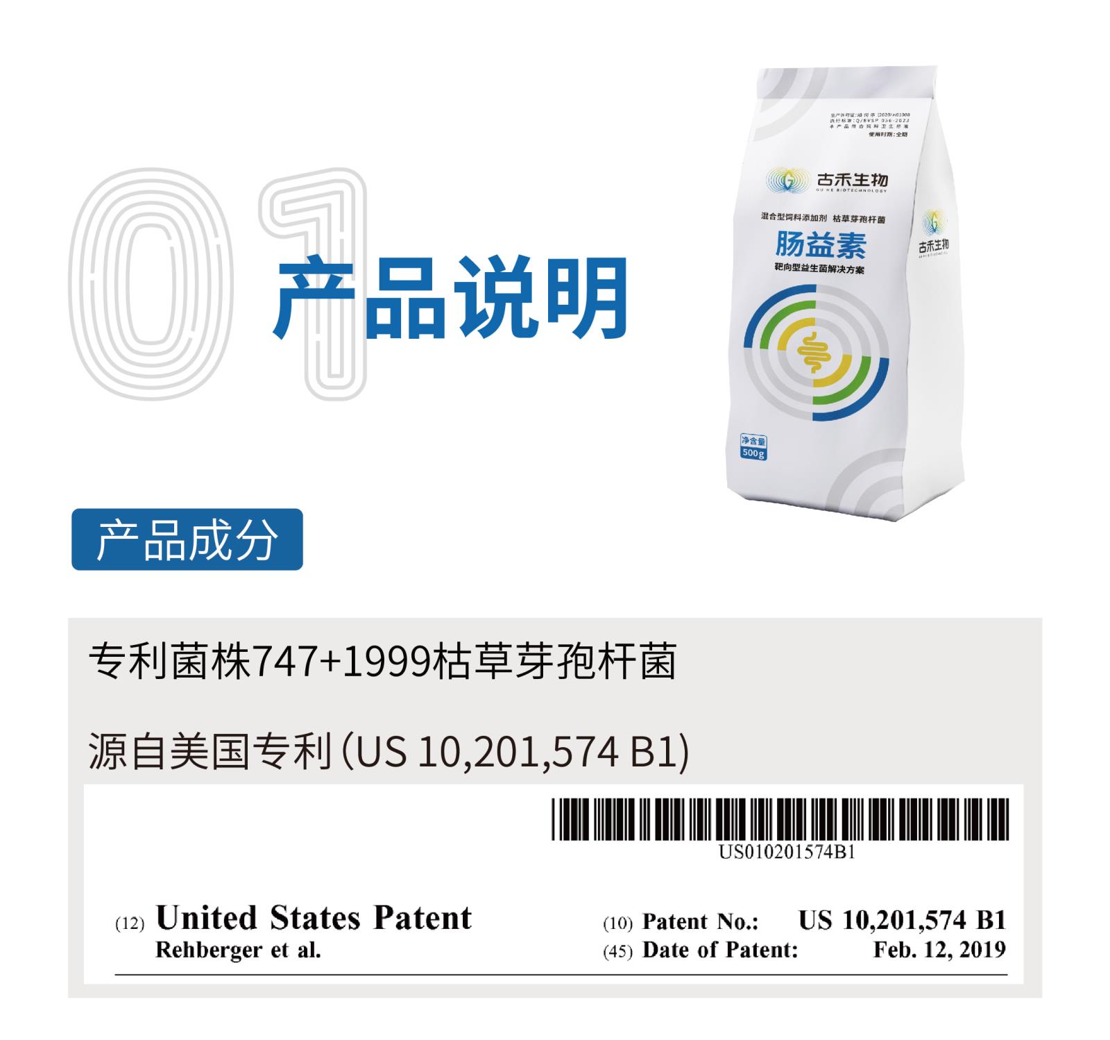 腸益素網(wǎng)站介紹長(zhǎng)圖_畫板-1_畫板-1_02.jpg