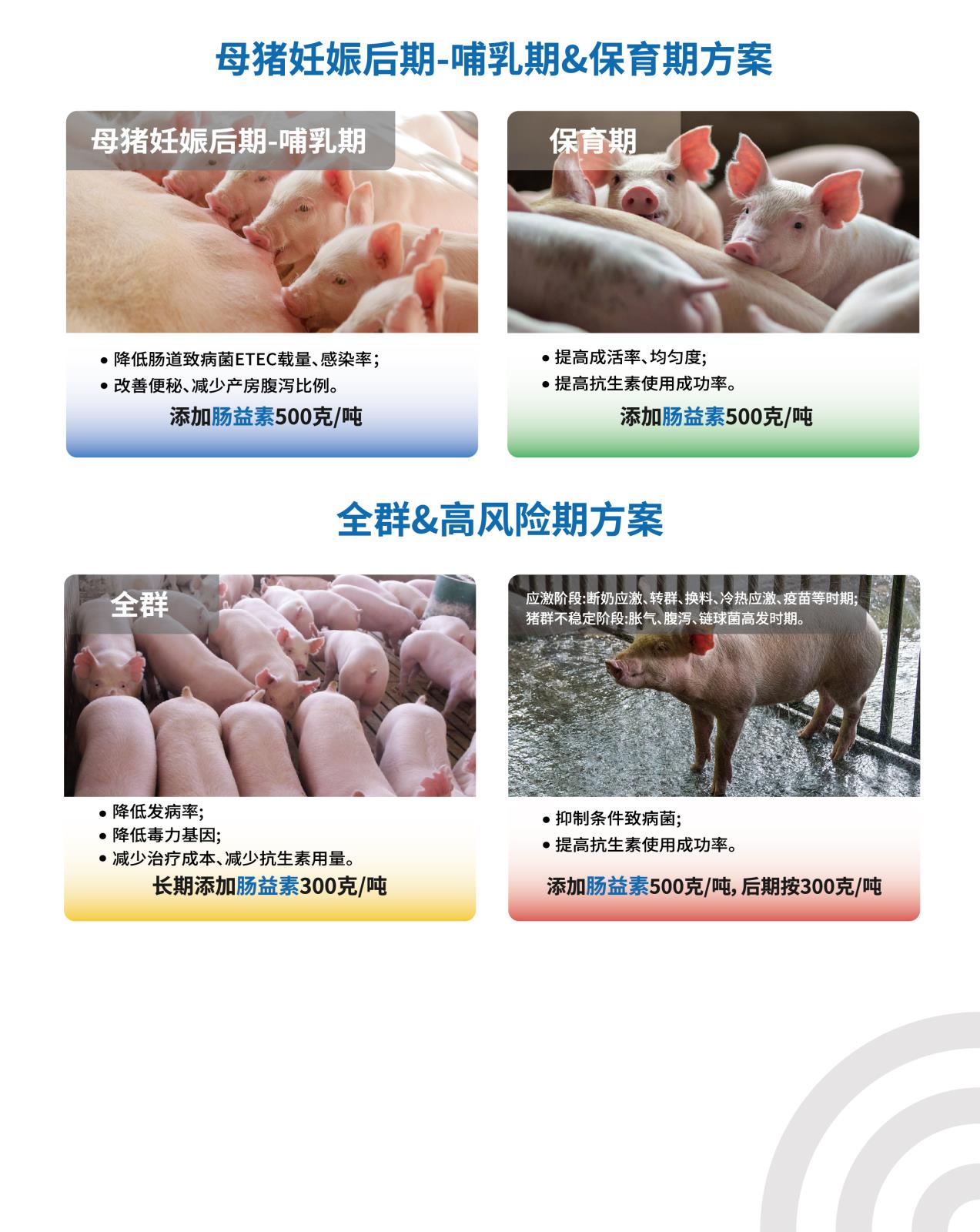 腸益素網(wǎng)站介紹長(zhǎng)圖_畫板-1_畫板-1_04.jpg