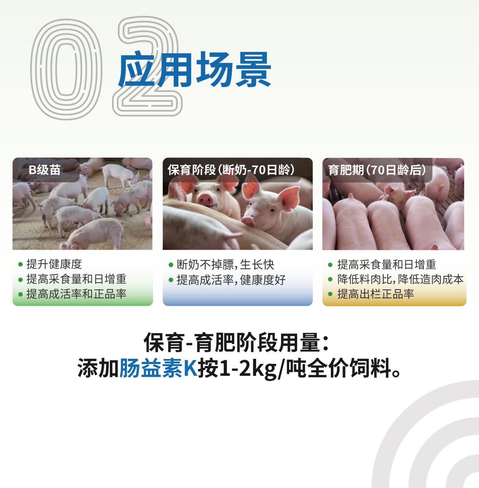 腸益素K網(wǎng)站介紹長(zhǎng)圖_畫板-1_畫板-1_03.jpg