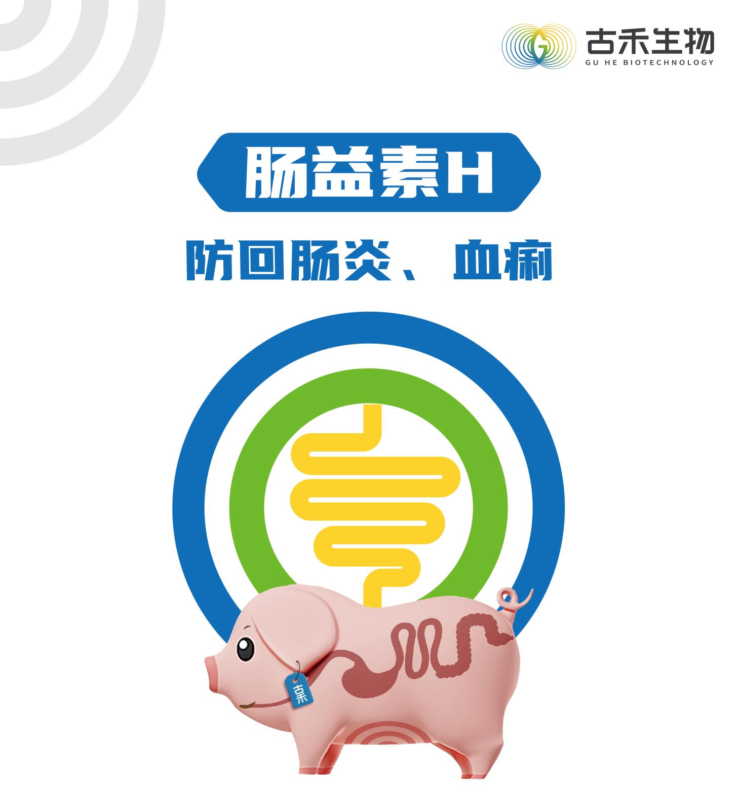 腸益素H網(wǎng)站介紹長(zhǎng)圖_畫板-1_畫板-1_01.jpg
