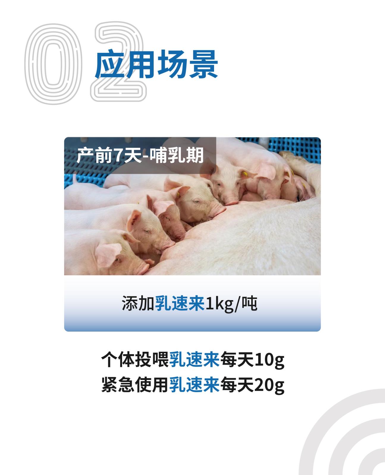 乳速來網(wǎng)站介紹長圖_畫板-1_03.jpg