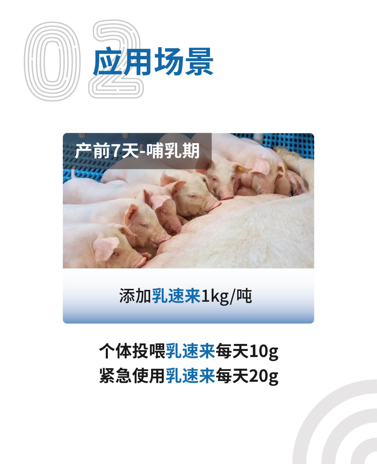 乳速來(lái)網(wǎng)站介紹長(zhǎng)圖25kg_畫(huà)板-1-副本_03.jpg