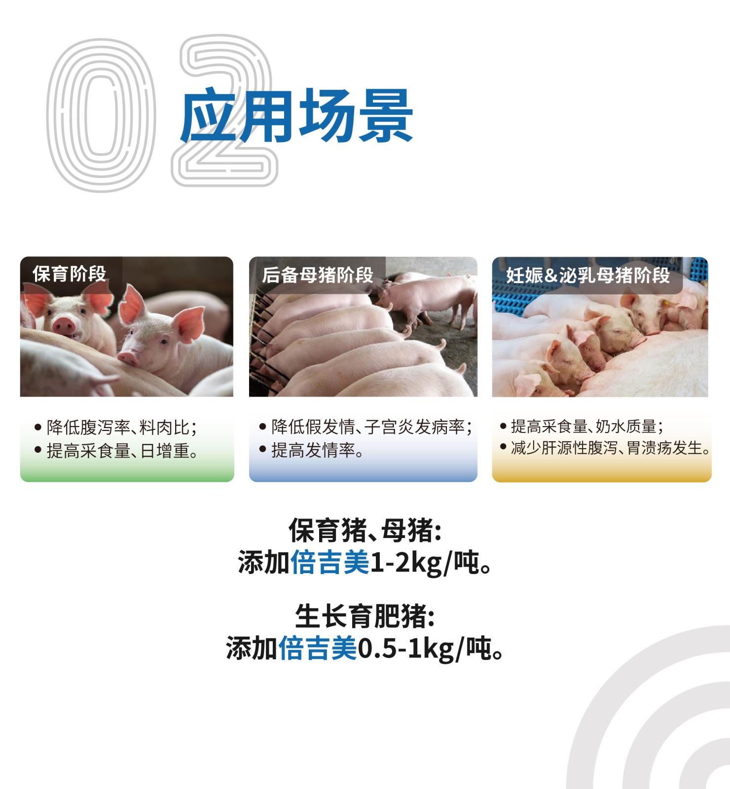 倍吉美網(wǎng)站介紹長(zhǎng)圖-[25kg]_畫(huà)板-1-副本_03.jpg