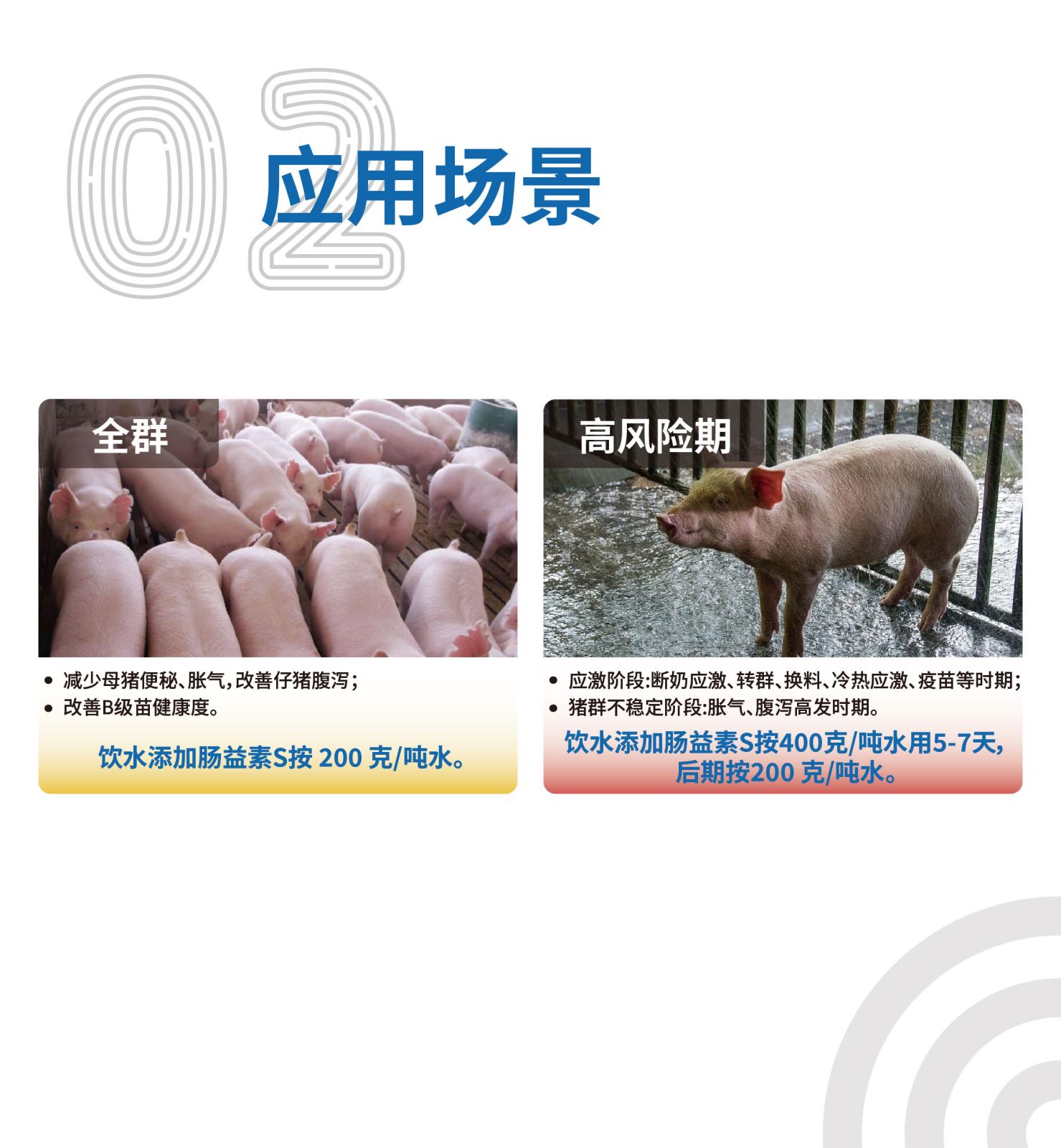 腸益素S網(wǎng)站介紹長圖_畫板-1-副本-4_03.jpg